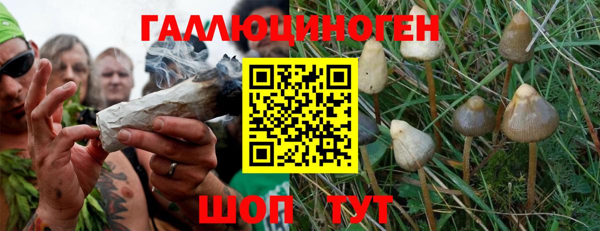 где купить   Вход с VPN  Соликамск  Псилоцибиновые грибы Psilocybine cubensis 